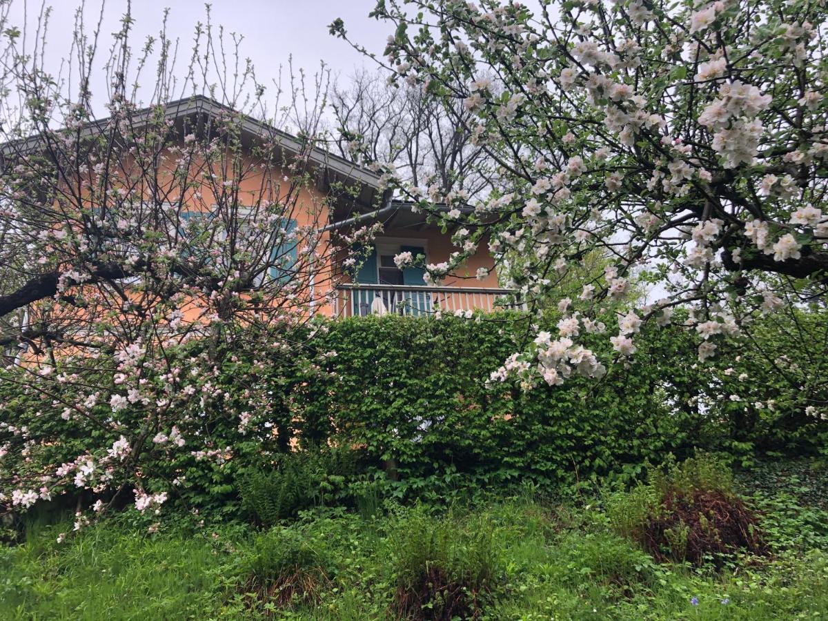 Ferienhaus Άιζεναχ Εξωτερικό φωτογραφία